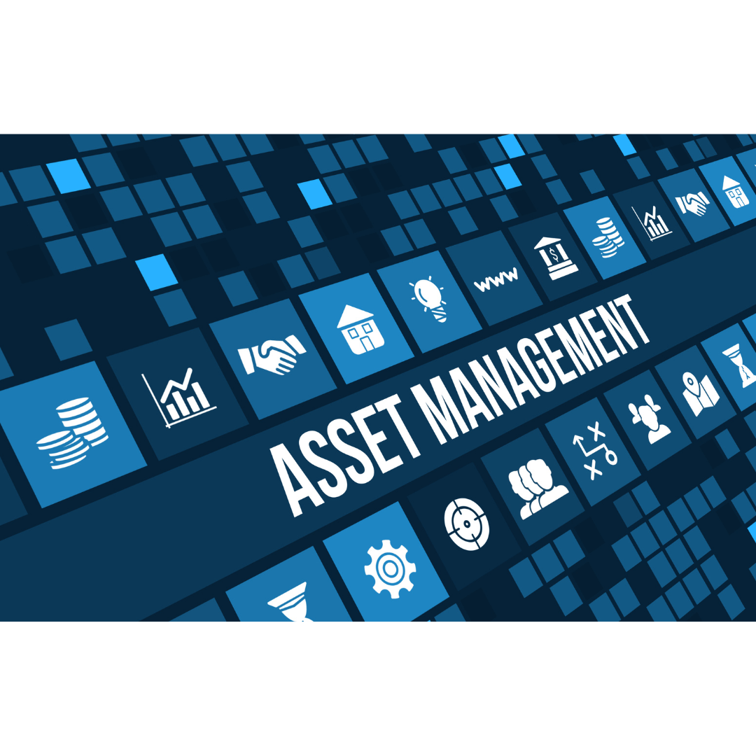 Asset Management — what the product delivers