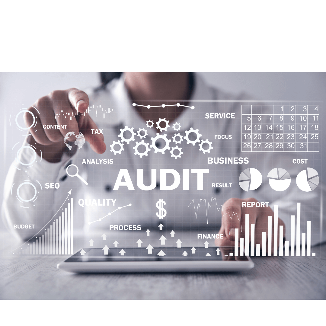 Audit Management System, what the product delivers